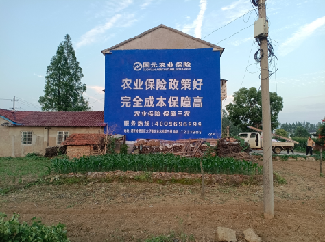 安远墙体广告为何受追捧？